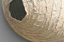 0114310B  fiberart