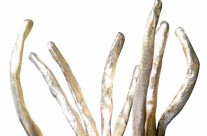 0107110  bronze